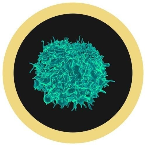 Giantmicrobes Giant Microbes - Killer T Cell