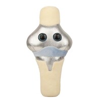 Giant Microbes - Knee Replacement