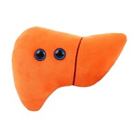 Giant Microbes - Liver
