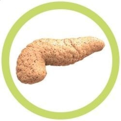 Giantmicrobes Giant Microbes - Pancreas