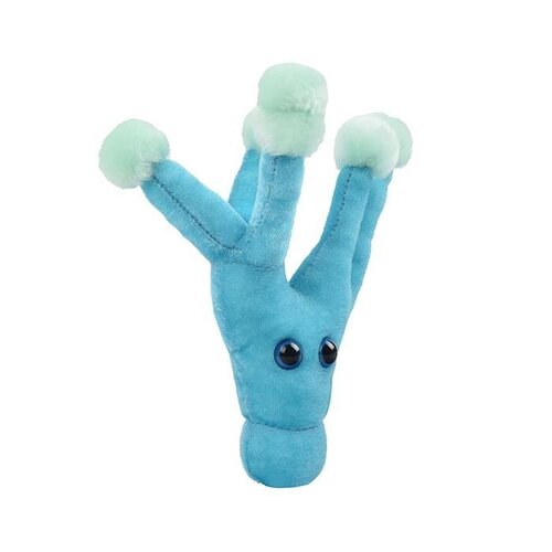 Giantmicrobes Giant Microbes - Penicillin (Penicillium chrysogenum)