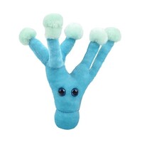 Giant Microbes - Penicillin (Penicillium chrysogenum)