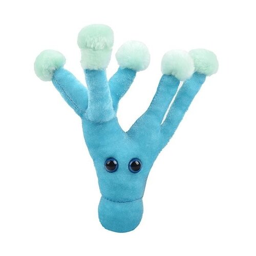 Giantmicrobes Giant Microbes - Penicillin (Penicillium chrysogenum)