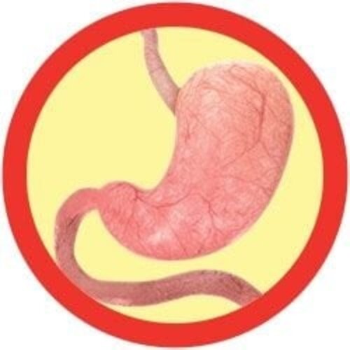 Giantmicrobes Giant Microbes - Stomach