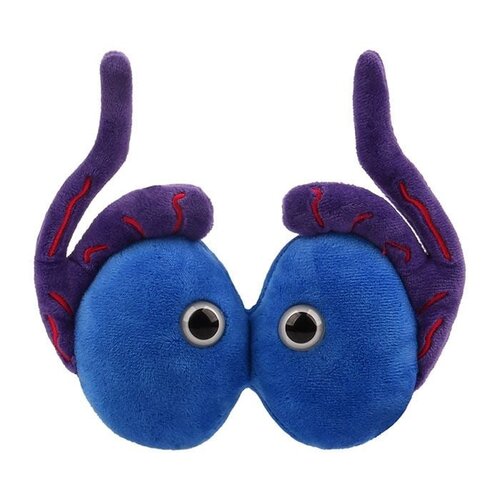 Giantmicrobes Giant Microbes - Testicles