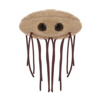 Giant Microbes - E. coli (Escherichia coli)