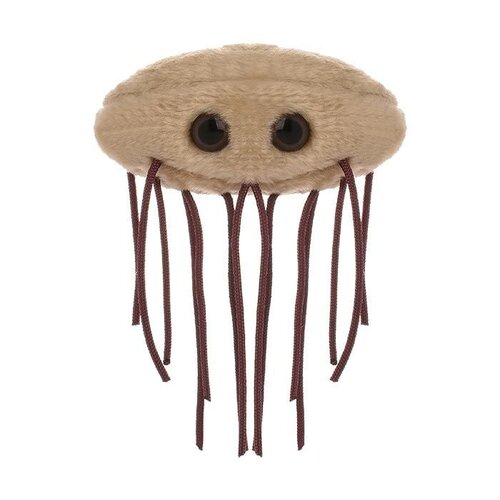 Giantmicrobes Giant Microbes - E. coli (Escherichia coli)
