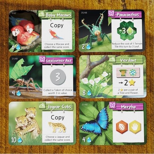 Life of the Amazonia (EN)