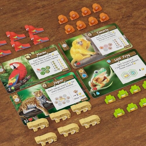 Life of the Amazonia (EN)