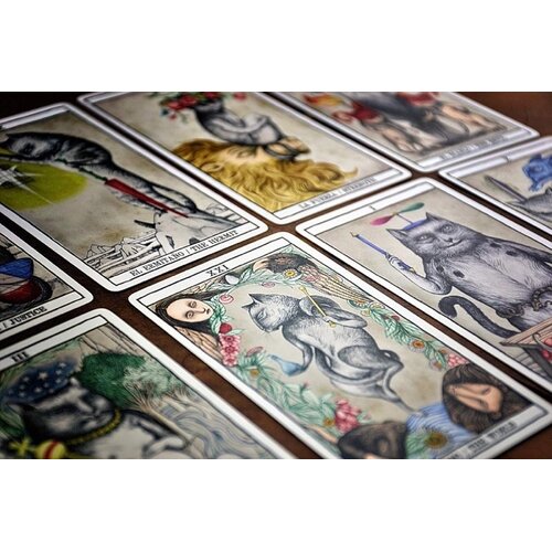 Tarot kaarten - Tarot Cats by Ana Juan Tarot kaarten - Tarot Cats by Ana Juan