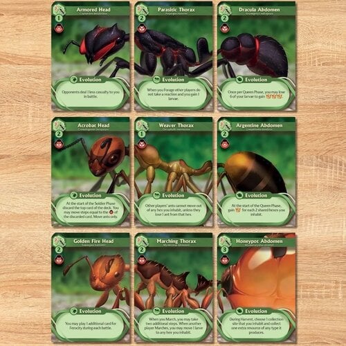 - March of the Ants: Evolved Edition