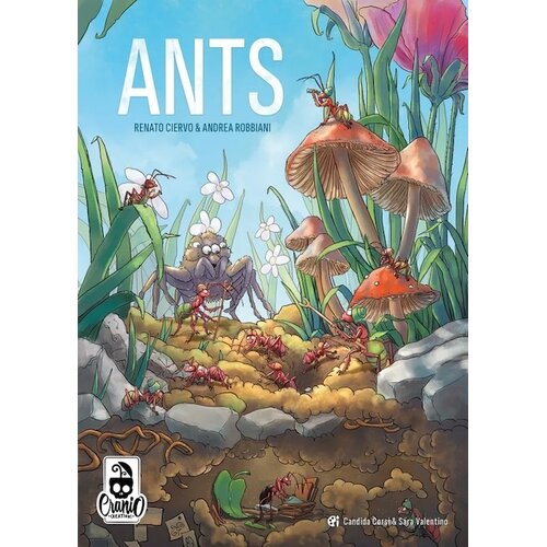 Ants
