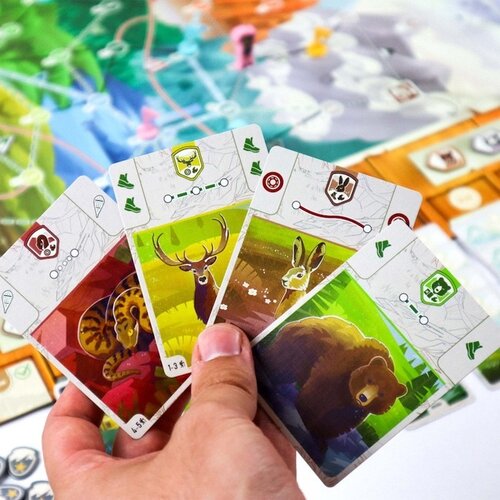 Matagot The Peak Team