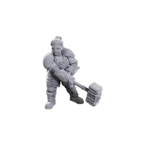 (WZK90733) Unpainted Miniatures - Dwarves (D&D 50th Anniversary)