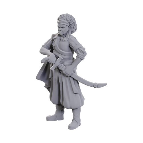 (WZK90110) Unpainted Miniatures - Ansalon Human Rogue