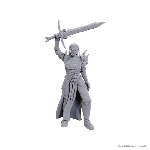 Wizk!ds (WZK90772) Unpainted Miniatures - Blackguard