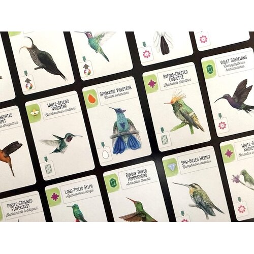 Stonemaier Wingspan - Americas expansion (EN)