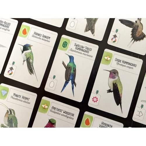 Stonemaier Wingspan - Americas expansion (EN)