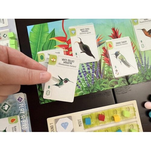 Stonemaier Wingspan - Americas expansion (EN)