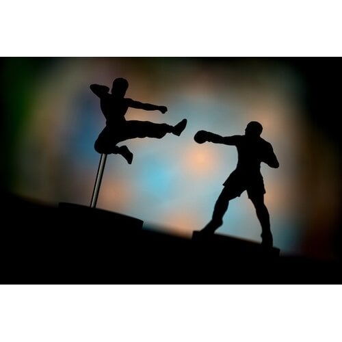 Iello Unmatched - Lee vs Ali (EN) Iello Unmatched - Lee vs Ali (EN)