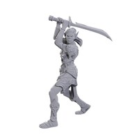 (WZK96365) Unpainted Miniatures - Laezel & Shadowheart (BG3)