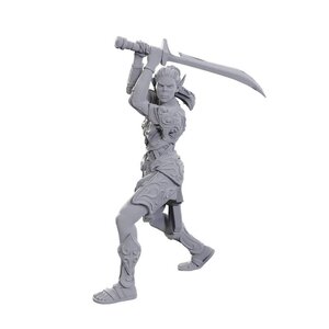 (WZK96365) Unpainted Miniatures - Baldur's Gate 3: Laezel & Shadowheart