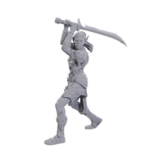 (WZK96365) Unpainted Miniatures - Laezel & Shadowheart (BG3)