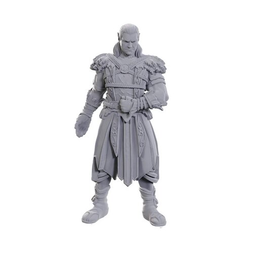 (WZK96368) Unpainted Miniatures - Baldur's Gate 3: Jaheira & Halsin