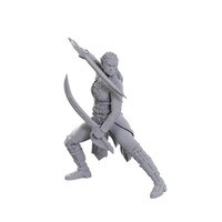 (WZK96368) Unpainted Miniatures - Baldur's Gate 3: Jaheira & Halsin