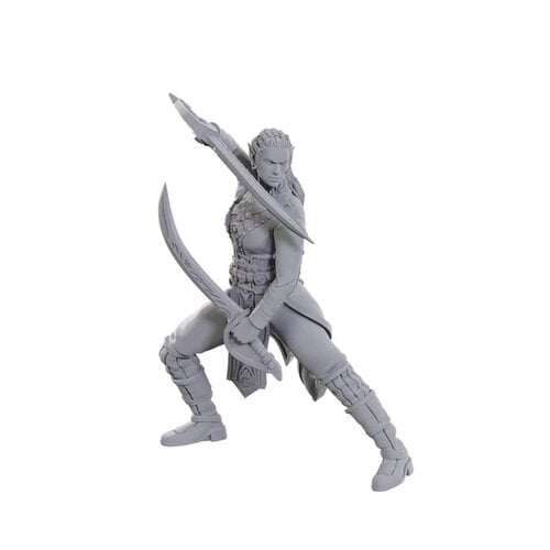 (WZK96368) Unpainted Miniatures - Baldur's Gate 3: Jaheira & Halsin