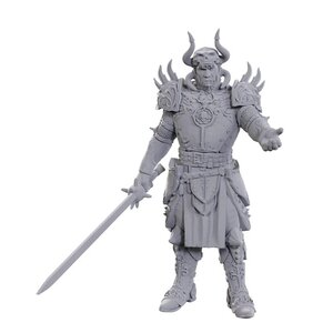 (WZK96371) Unpainted Miniatures - Baldur's Gate 3: Sarevok Anchev & Raphael