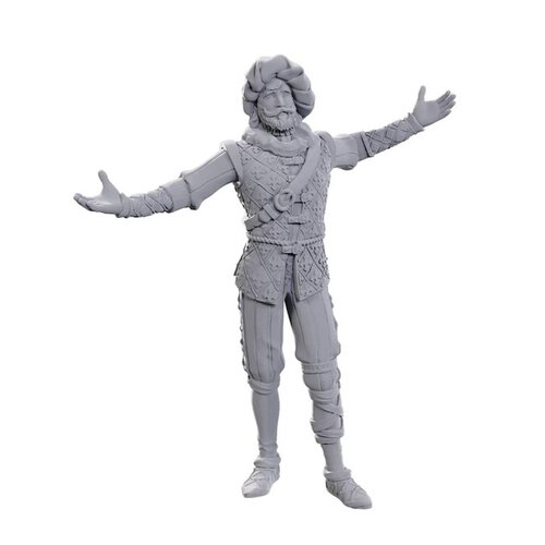 (WZK96372) Unpainted Miniatures - Baldur's Gate 3: Volo & Withers