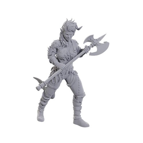 Wizk!ds (WZK96367) Unpainted Miniatures - Baldur's Gate 3: Wyll & Karlach