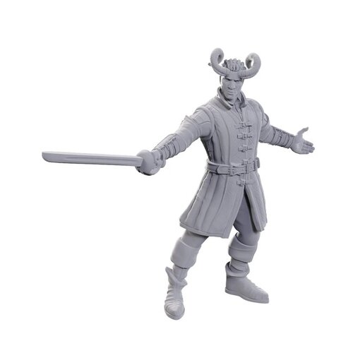 Wizk!ds (WZK96367) Unpainted Miniatures - Baldur's Gate 3: Wyll & Karlach