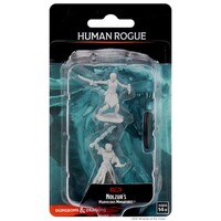 (WZK73831) Unpainted Miniatures - Human Female Rogue