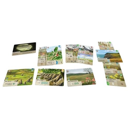 Lookout Games Forest Shuffle: Dartmoor - Exmoor expansion (EN) Lookout Games Forest Shuffle: Dartmoor - Exmoor expansion (EN)