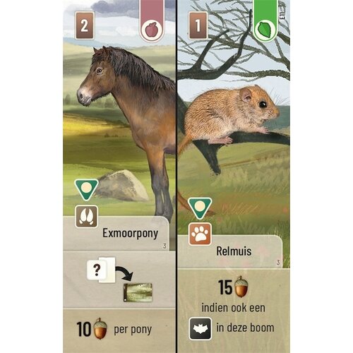 Lookout Games Forest Shuffle: Dartmoor - Exmoor uitbreiding (NL) Lookout Games Forest Shuffle: Dartmoor - Exmoor uitbreiding (NL)