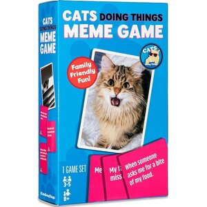 Cats Doing Things
