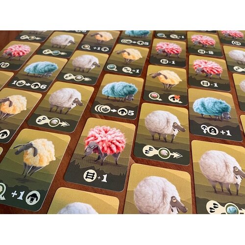 Stubborn Sheep Stubborn Sheep