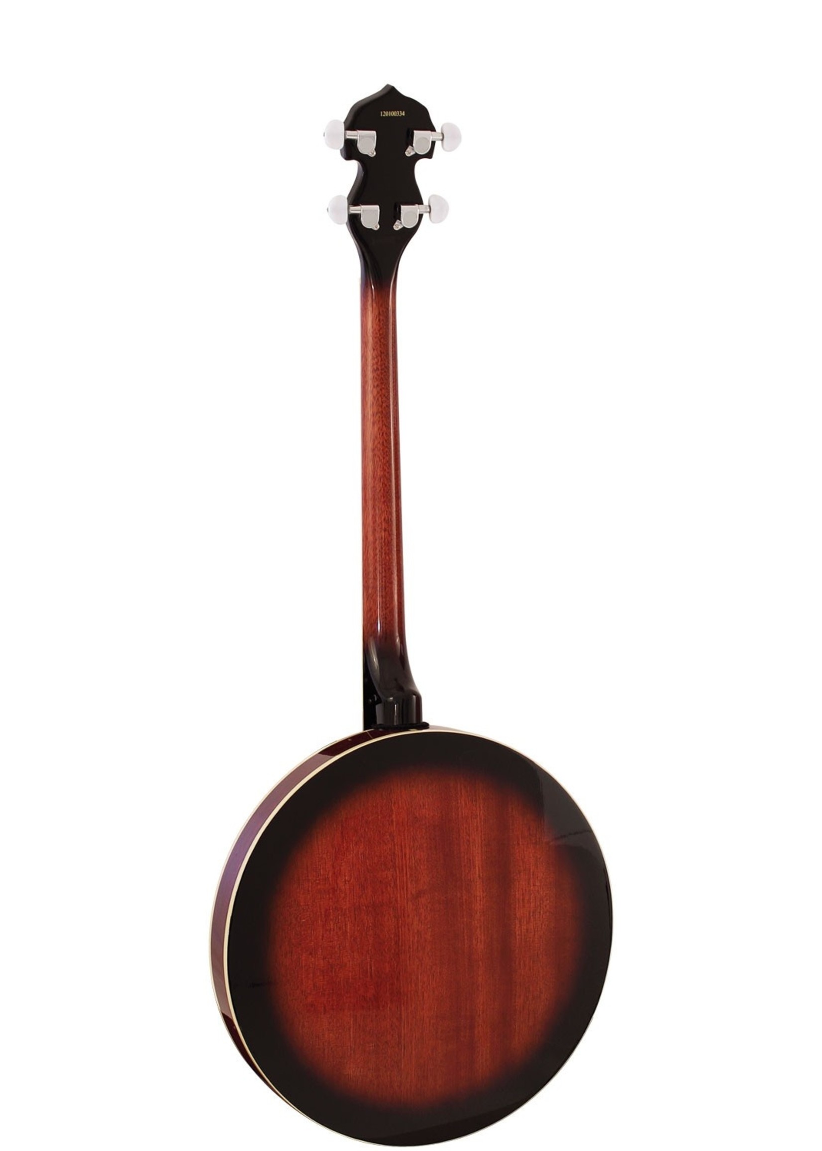 Barnes and Mullins Tenor Banjo 4 String - RENTAL