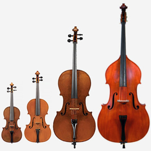 Violin instruments. Violin Viola Cello Double Bass. Скрипка Cervini HV-300 4/4. Виолончель струнные смычковые музыкальные инструменты. Контрабас струнные смычковые музыкальные инструменты.