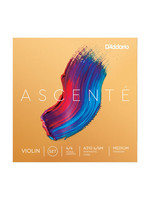 Ascente Violin Set 4/4 Medium