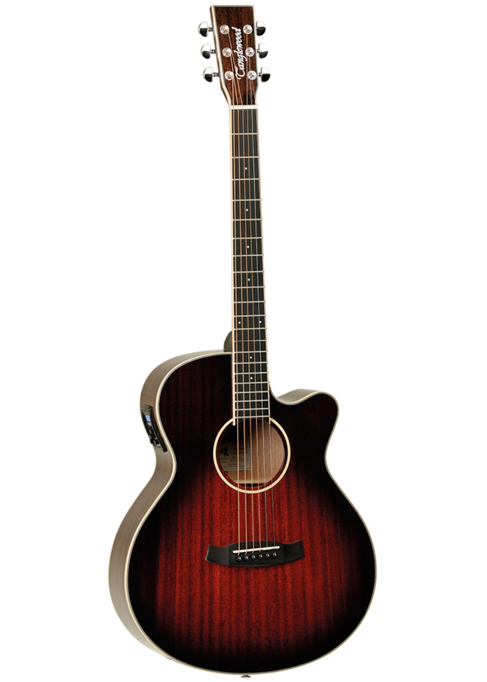 Tanglewood WinterLeaf TW4 E AVB