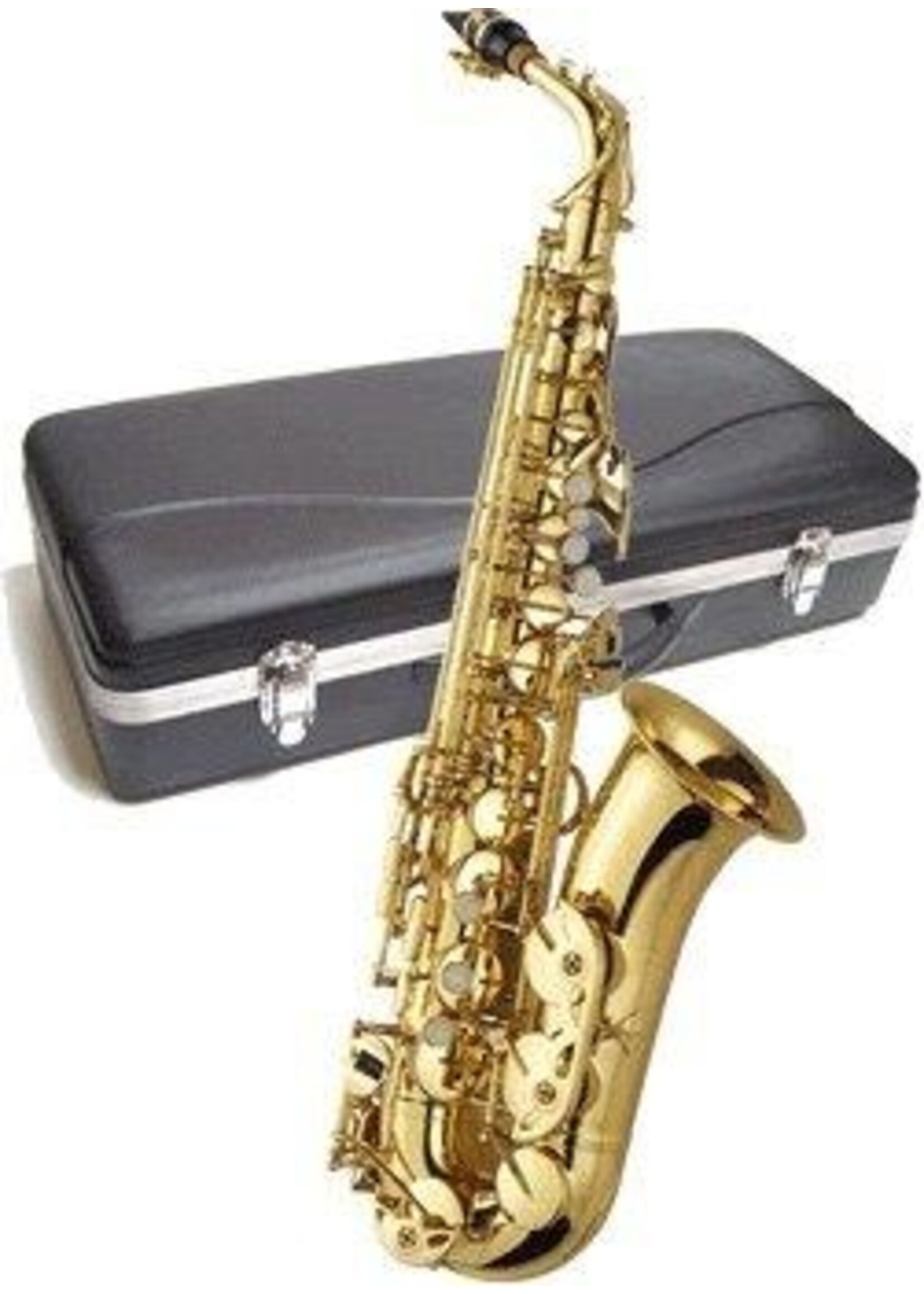 J Michael J. Michael Alto Saxophone Outfit
