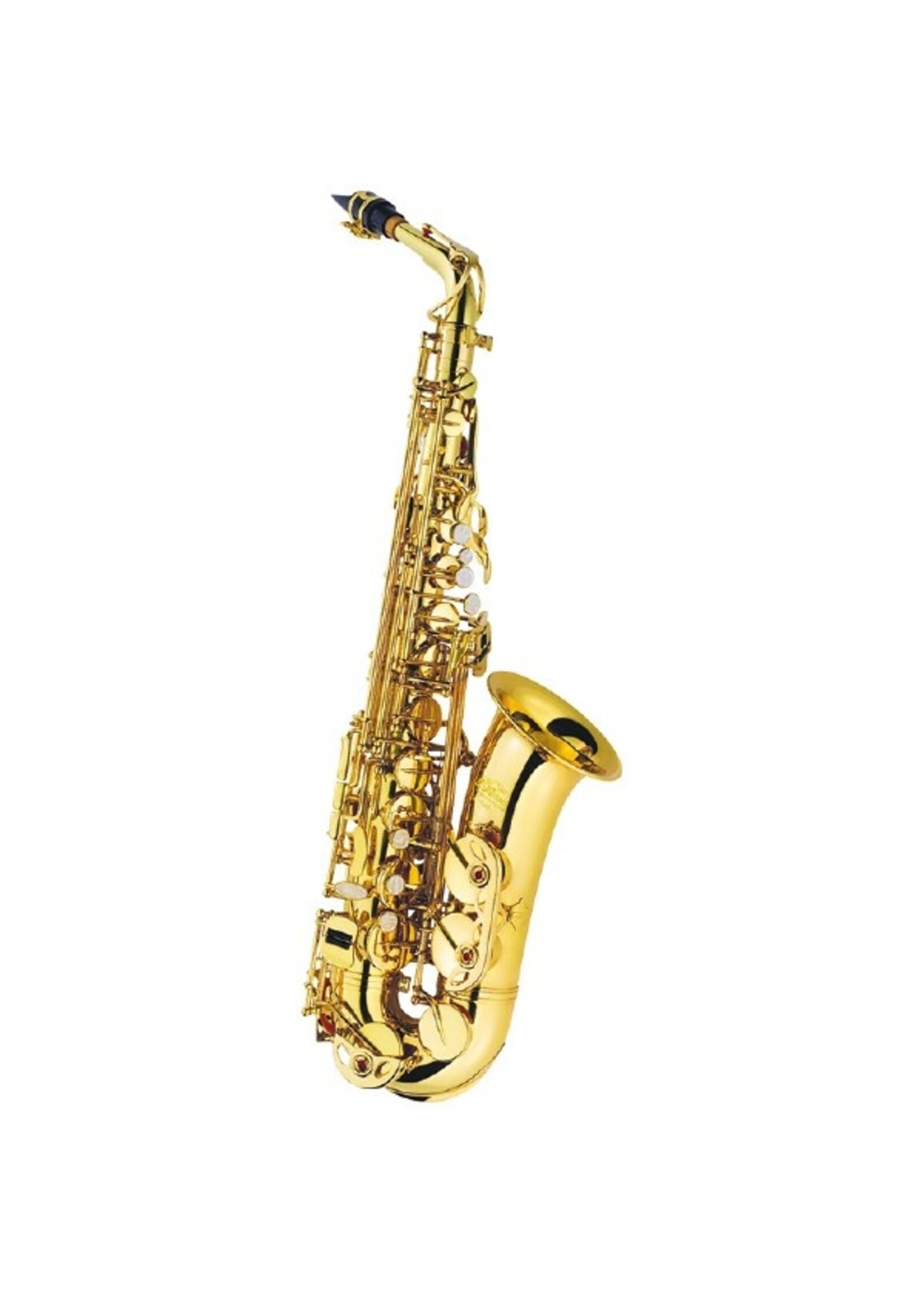 J Michael J. Michael Alto Saxophone Outfit