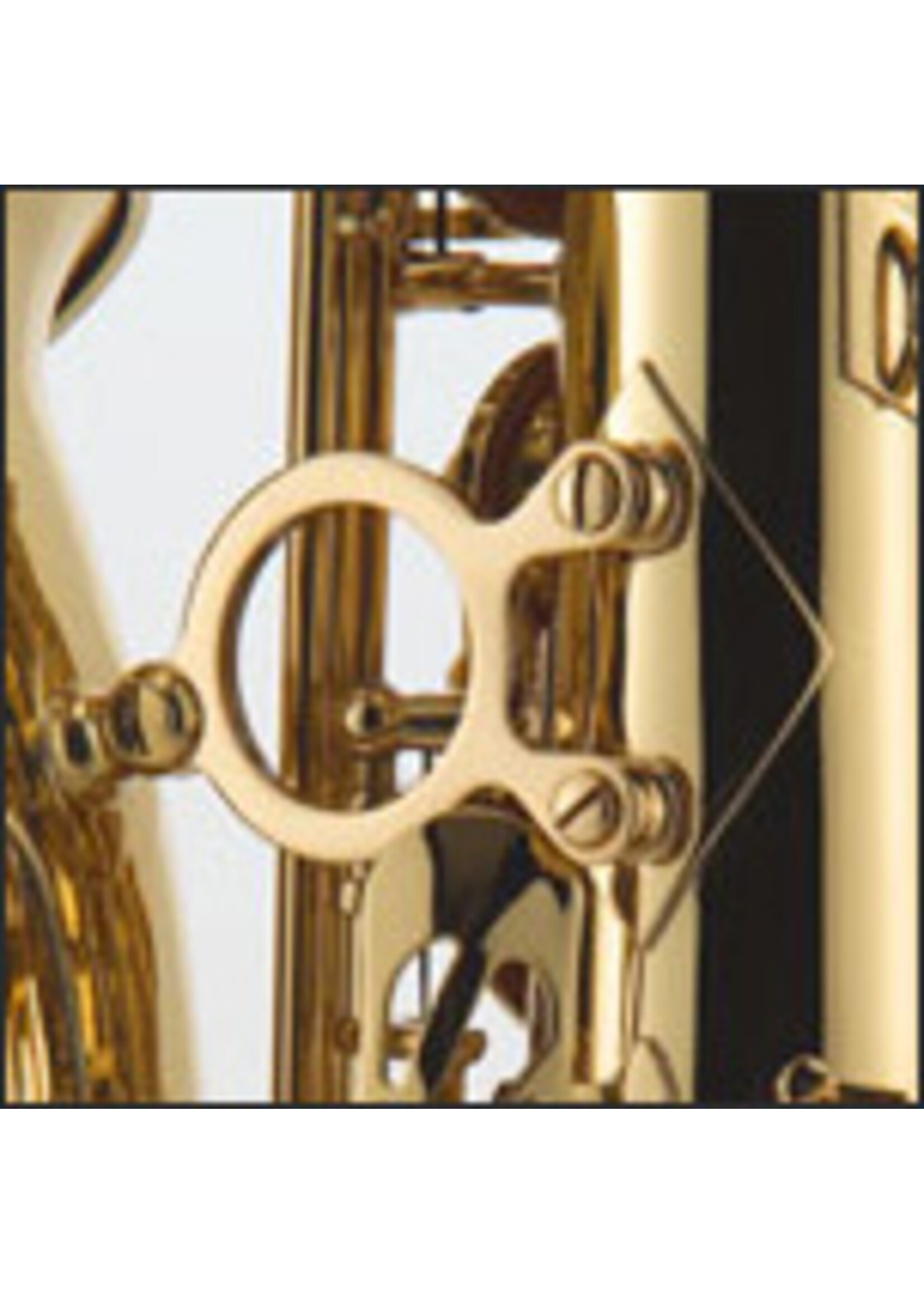 J Michael J. Michael Alto Saxophone Outfit