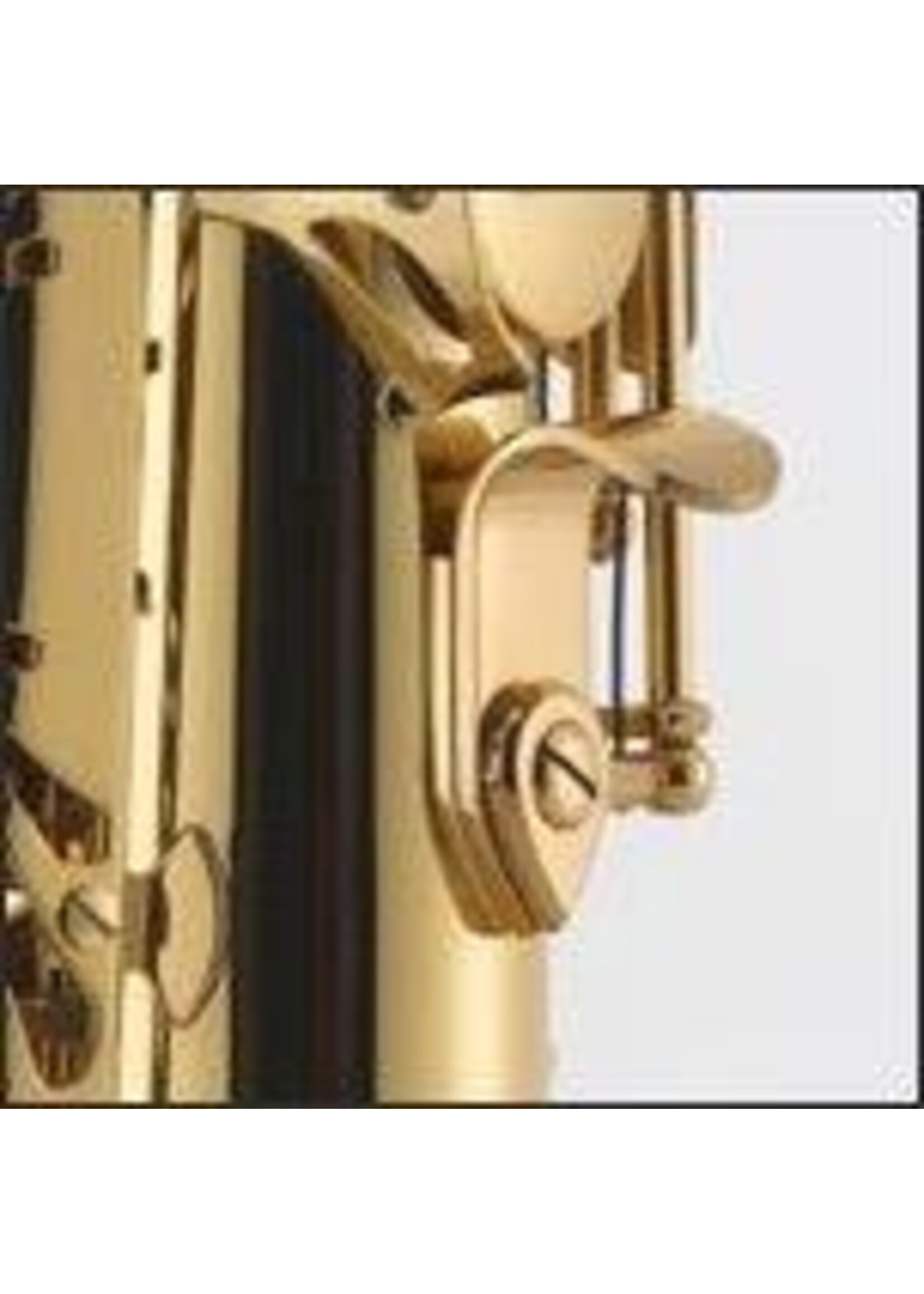 J Michael J. Michael Alto Saxophone Outfit