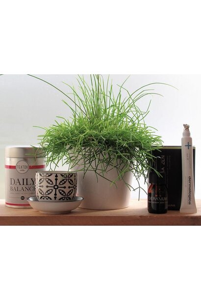 Relax, take it easy. For stressed skin