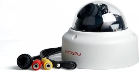 Foscam D2EP beveiligingscamera buiten