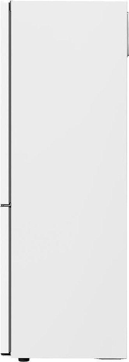 LG GBB61SWGGN Koel-vriescombinatie